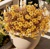 Marigold Yellow